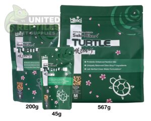 abstract hexagonal shape with lizard inside Hikari Saki Turtle Sticks