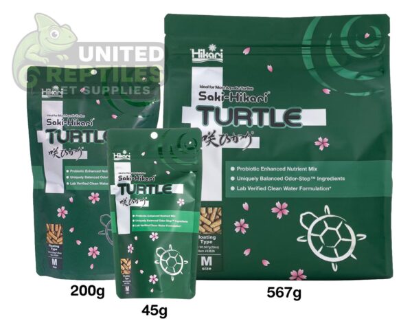 abstract hexagonal shape with lizard inside Hikari Saki Turtle Sticks