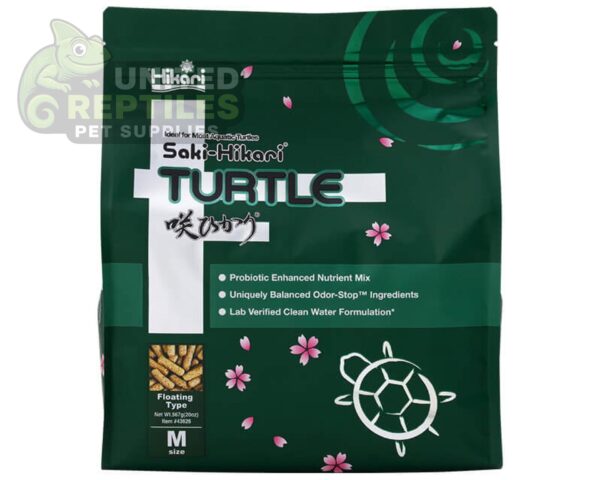 abstract hexagonal shape with lizard inside Hikari Saki Turtle Sticks