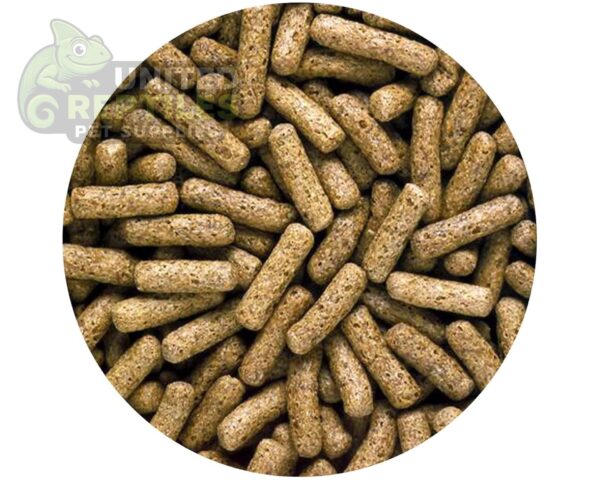 abstract hexagonal shape with lizard inside Hikari Saki Turtle Sticks