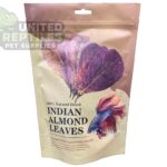 abstract hexagonal shape with lizard inside Indian Almond Leaves 10pc