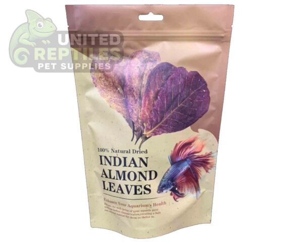 Indian Almond Leaves 10pc