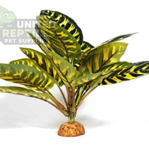 Reptile Artificial Plant JBY001