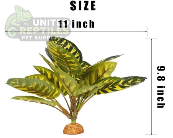 abstract hexagonal shape with lizard inside Reptile Artificial Plant JBY001