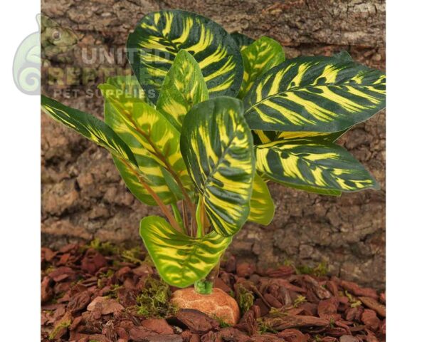 abstract hexagonal shape with lizard inside Reptile Artificial Plant JBY001