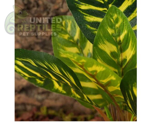 abstract hexagonal shape with lizard inside Reptile Artificial Plant JBY001