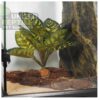abstract hexagonal shape with lizard inside Reptile Artificial Plant JBY001