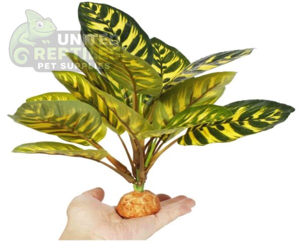 abstract hexagonal shape with lizard inside Reptile Artificial Plant JBY001