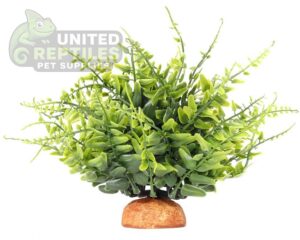 abstract hexagonal shape with lizard inside Reptile Artificial Plant JBY007