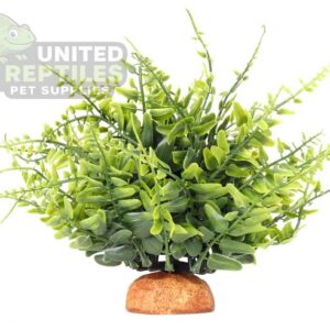 Reptile Artificial Plant JBY007