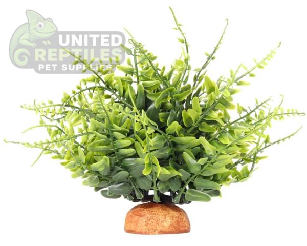 abstract hexagonal shape with lizard inside Reptile Artificial Plant JBY007