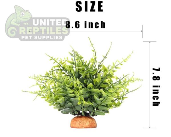 abstract hexagonal shape with lizard inside Reptile Artificial Plant JBY007