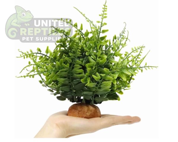abstract hexagonal shape with lizard inside Reptile Artificial Plant JBY007
