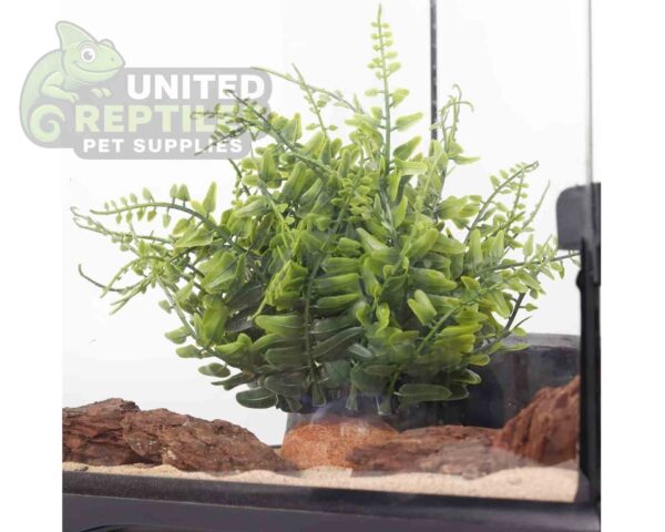 abstract hexagonal shape with lizard inside Reptile Artificial Plant JBY007