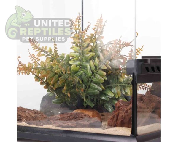 abstract hexagonal shape with lizard inside Reptile Artificial Plant JBY008