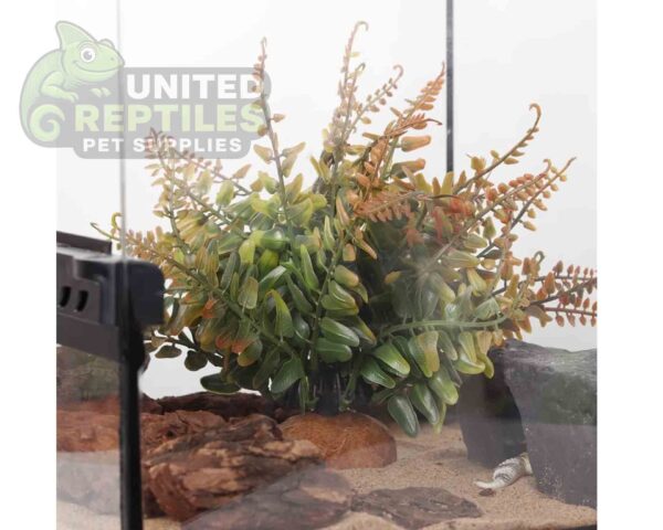 abstract hexagonal shape with lizard inside Reptile Artificial Plant JBY008