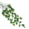 NFF-107 Simulation Hanging Plant