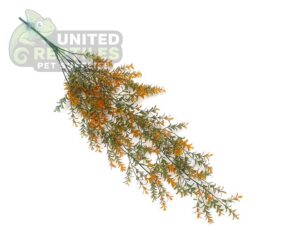 NFF-104 Simulation Hanging Plant