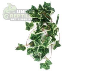 NFF-115 Simulation Hanging Plant