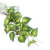 NFF-84 Simulation Hanging Plant
