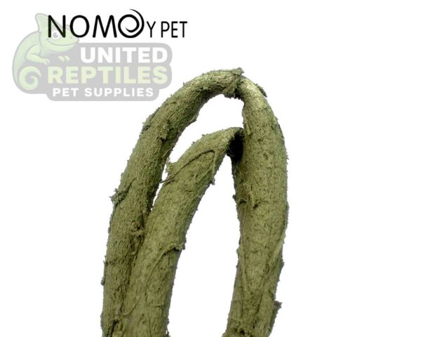 Nomoy Reptile Vines