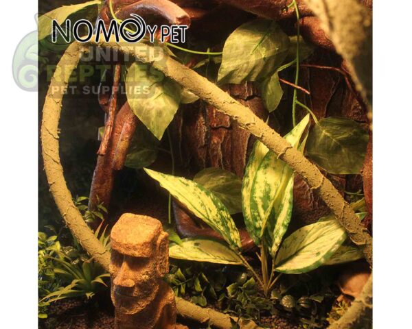Nomoy Reptile Vines