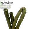 Nomoy Reptile Vines