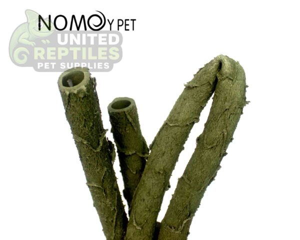 Nomoy Reptile Vines