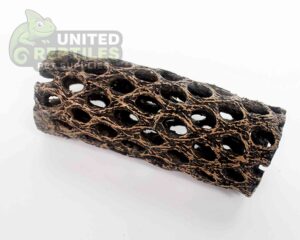 NS-109 Resin Cholla Cactus