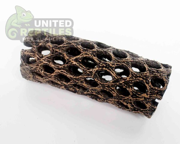 NS-109 Resin Cholla Cactus