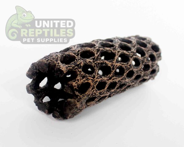 NS-109 Resin Cholla Cactus