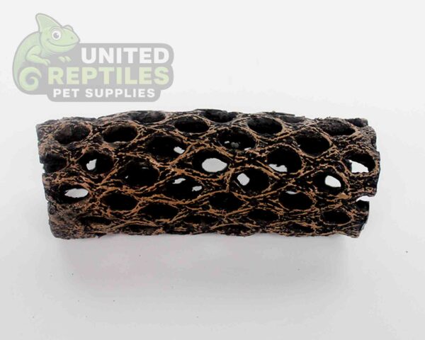 NS-109 Resin Cholla Cactus