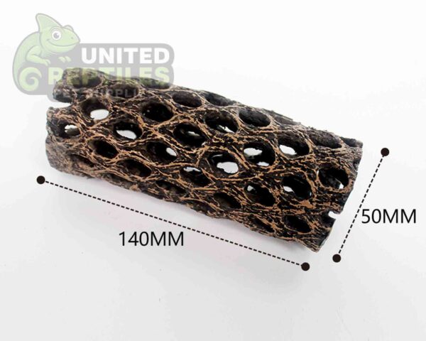 NS-109 Resin Cholla Cactus