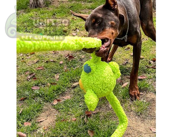 Q-Monster Rabbit Toy