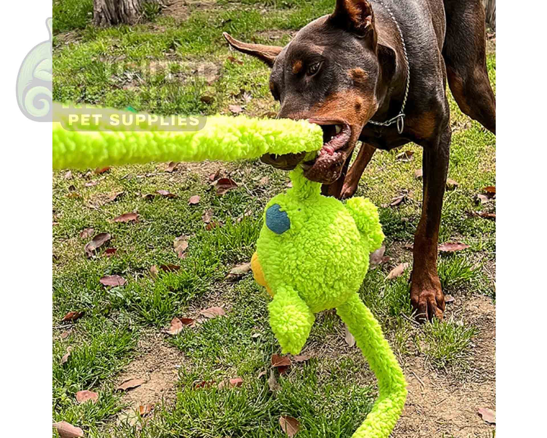 Q-Monster Rabbit Toy - Image 7