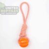 Dog Rope Toy with Chew Ball