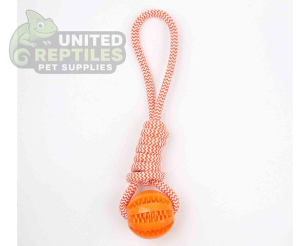 Dog Rope Toy with Chew Ball