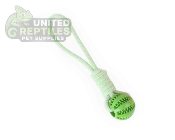 Dog Rope Toy with Chew Ball