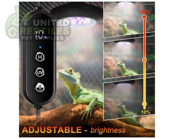 abstract hexagonal shape with lizard inside Giangarden LED UVB Light for Reptiles, 6W UVA UVB Lamp