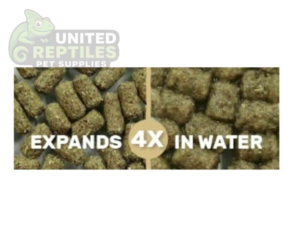 abstract hexagonal shape with lizard inside Hikari Mulberific Delite™