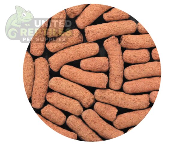 abstract hexagonal shape with lizard inside Hikari Pac Attack