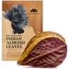Indian Almond Leaves 10pc