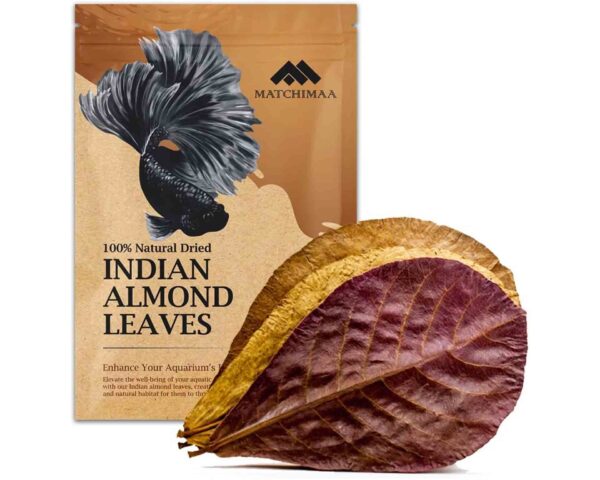 Indian Almond Leaves 10pc