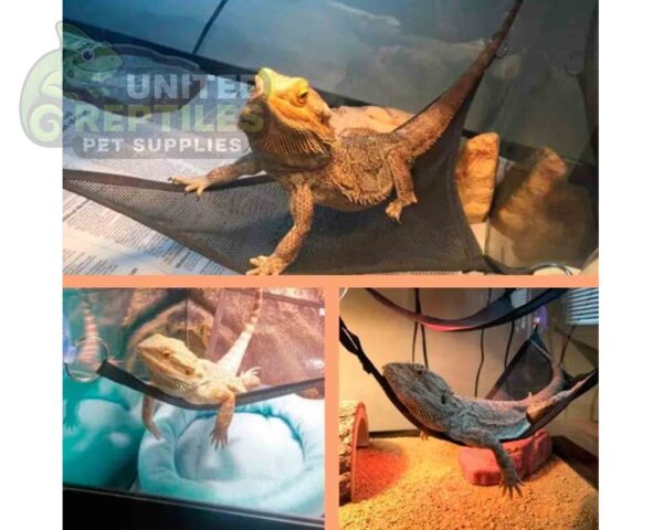 Reptile Bearded Dragon Lizard Hammock 2pc