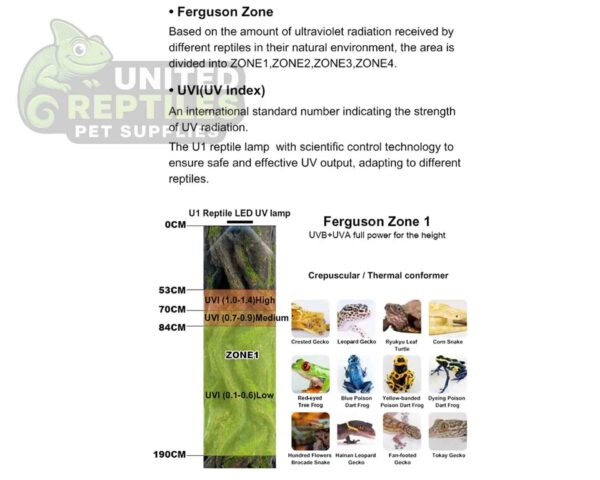Zetlight Full Spectrum LED Reptile Illumination