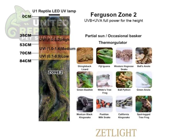 Zetlight Full Spectrum LED Reptile Illumination