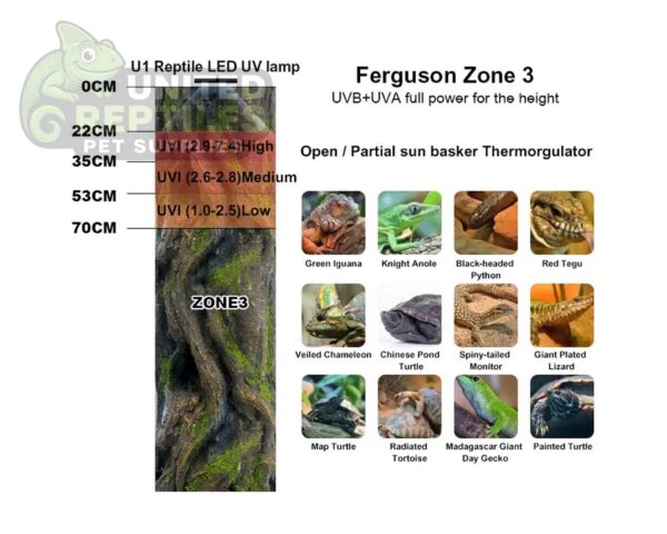 Zetlight Full Spectrum LED Reptile Illumination