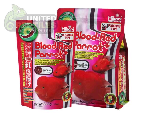 abstract hexagonal shape with lizard inside Hikari Blood-Red Parrot+