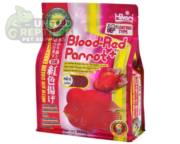 abstract hexagonal shape with lizard inside Hikari Blood-Red Parrot+