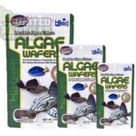 Hikari Tropical ALGAE WAFERS